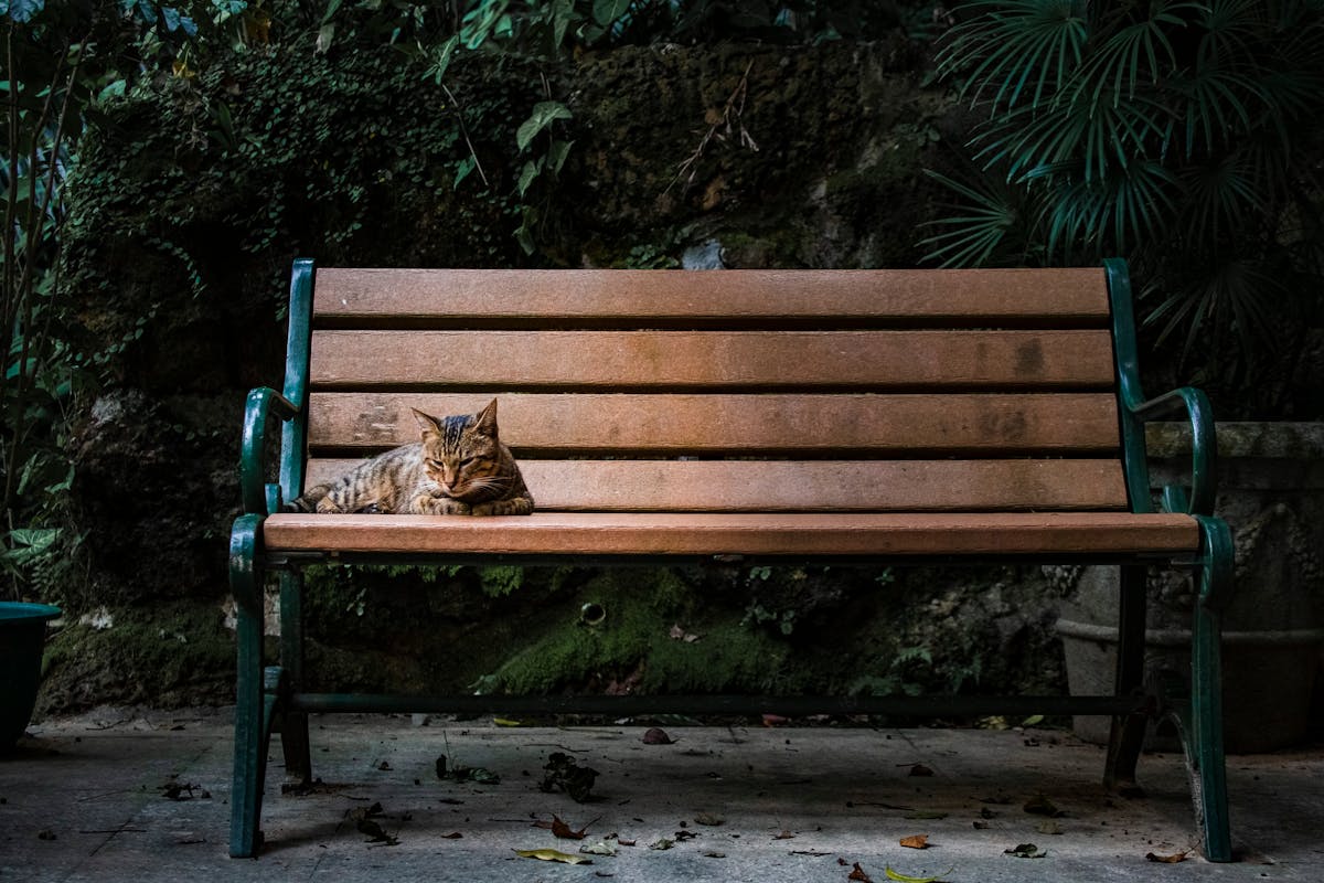 Acacia Wood Bench made in Vietnam